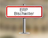 ERP à Bischwiller