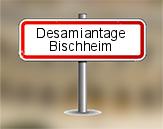 Examen visuel amiante à Bischheim