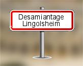 Examen visuel amiante à Lingolsheim