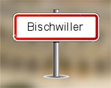 Diagnostiqueur immobilier Bischwiller