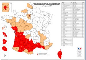 Carte infestation termites BAS RHIN